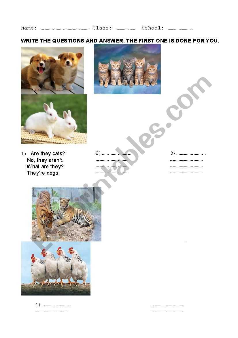 animals worksheet