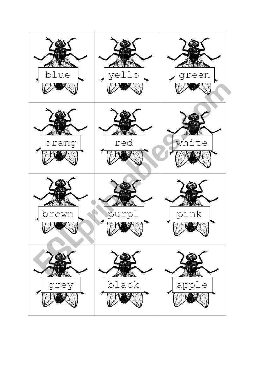 Fly swater vocabulary game worksheet