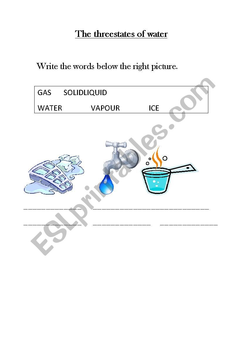 States of water worksheet