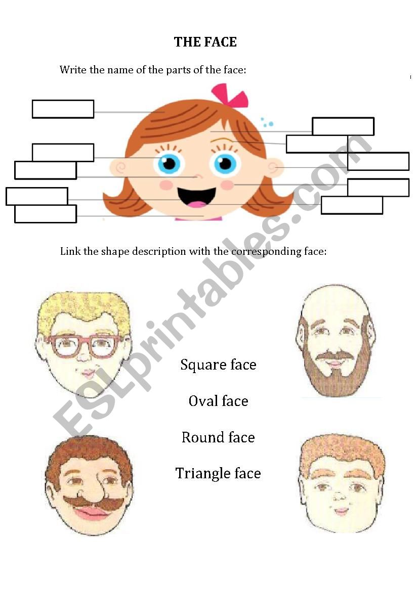 The face  worksheet