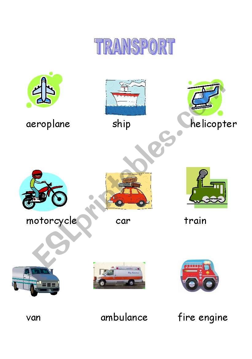 Transport worksheet