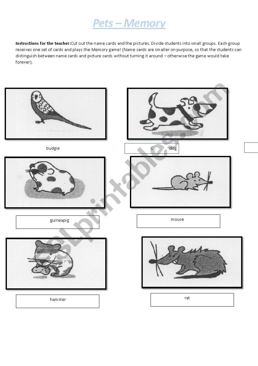 Pets Memory Game  worksheet