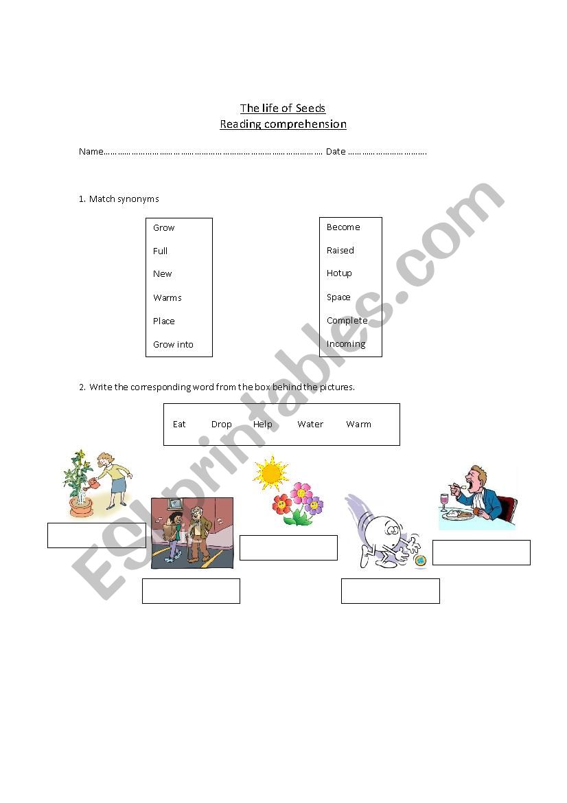 the life of seeds worksheet