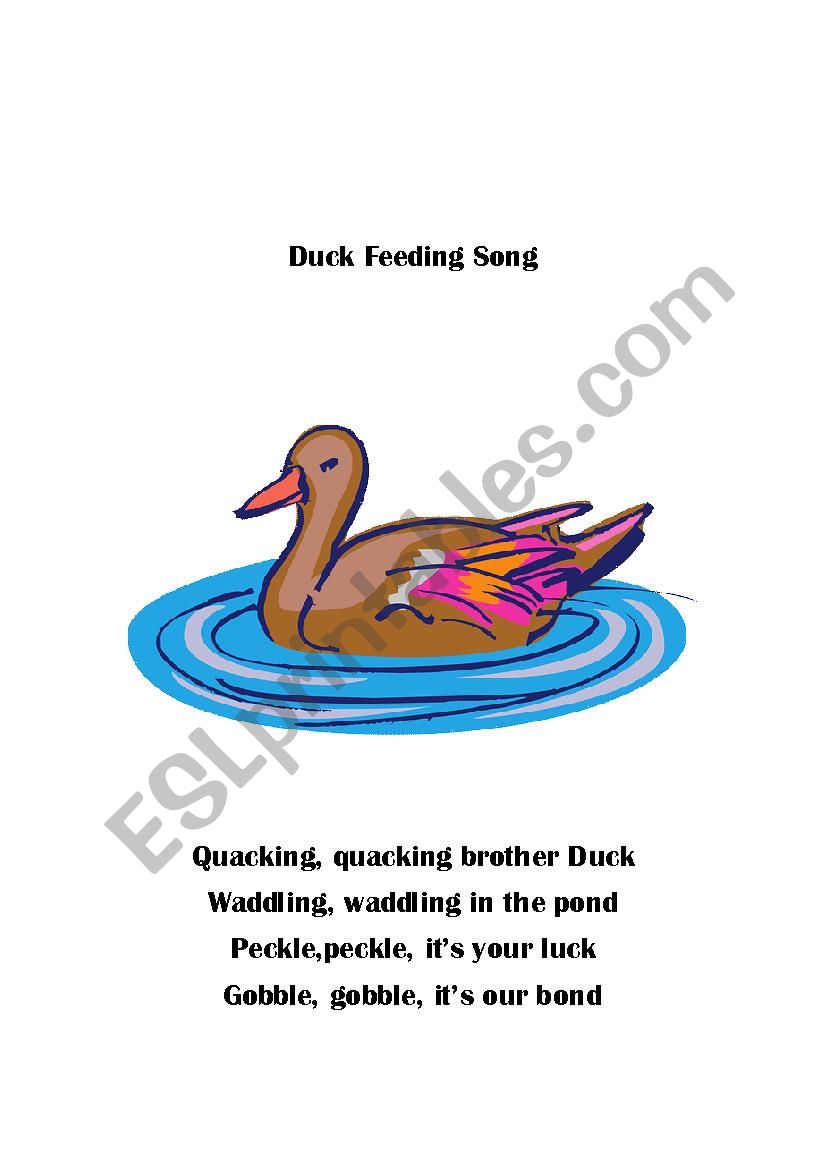 Duck Feeding Song worksheet