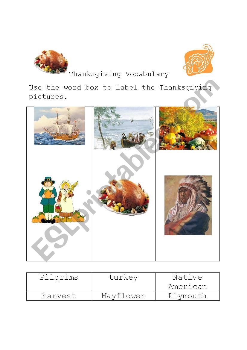 Thanksgiving vocabulary picture/word match 