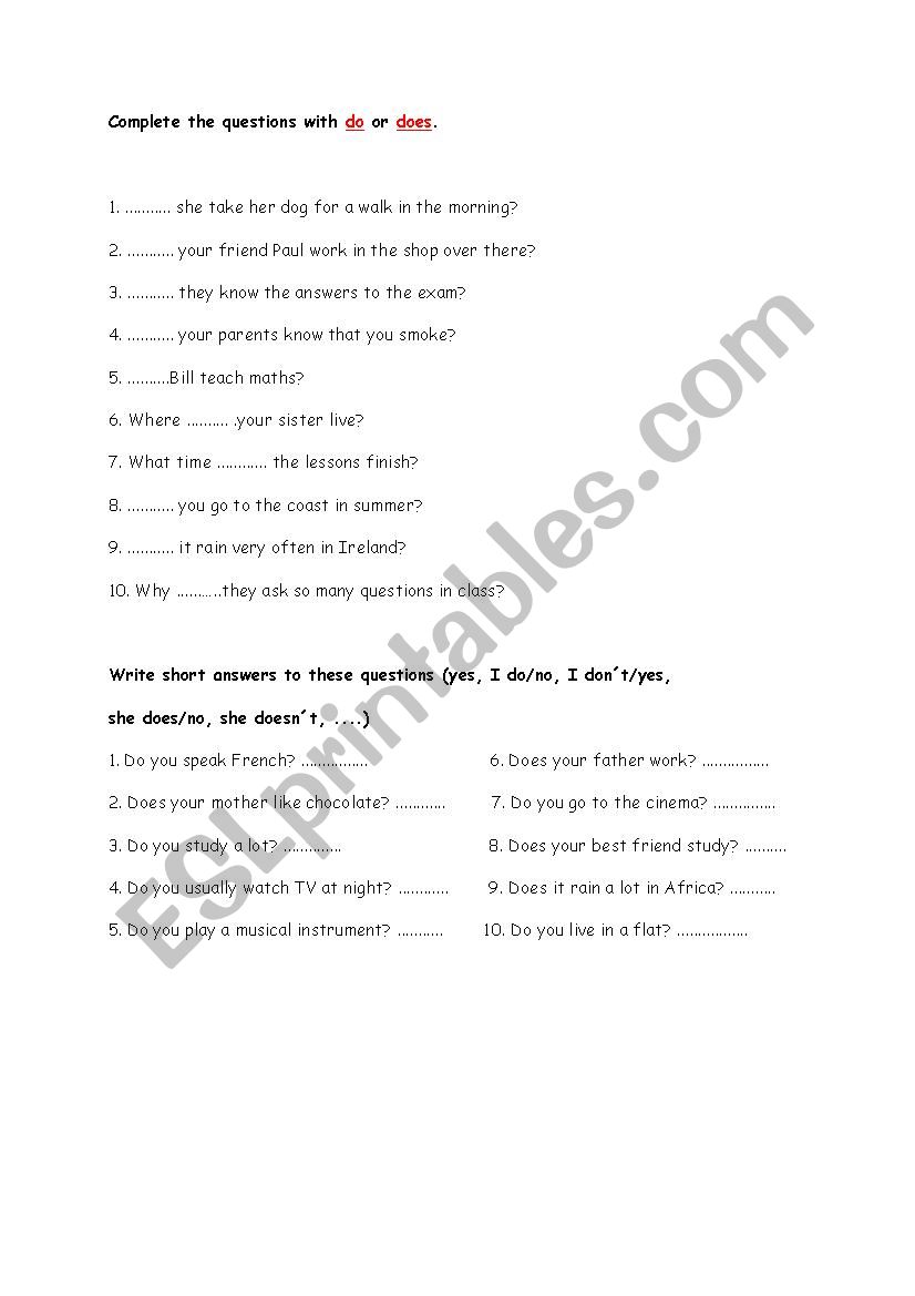 present simple question worksheet