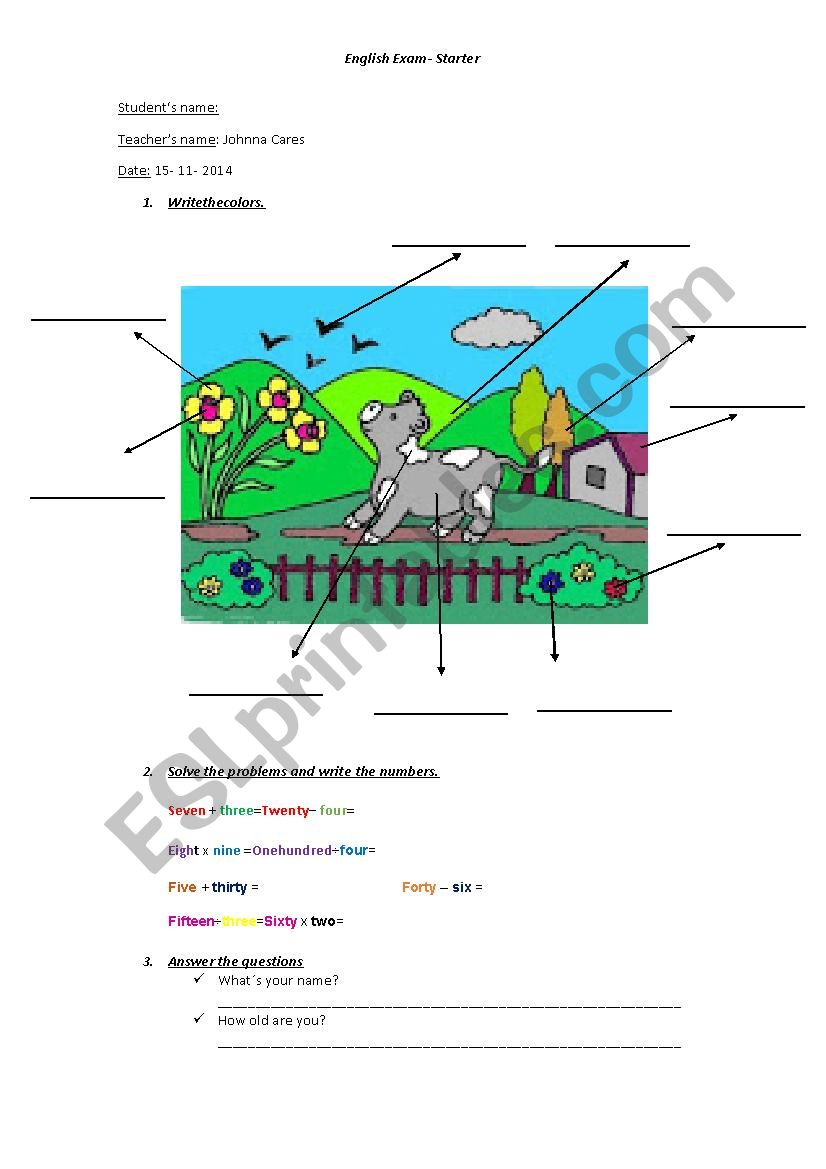 Final Exam for Starters worksheet