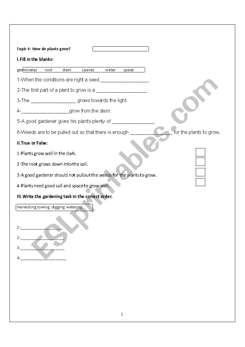 plantlifre worksheet