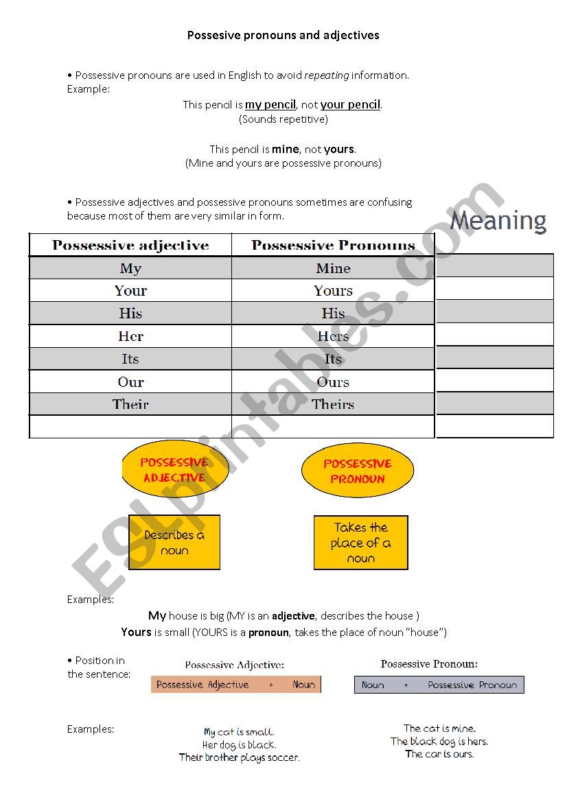 possesive-pronouns-and-adjectives-theory-and-practice-esl-worksheet-by-danimraz