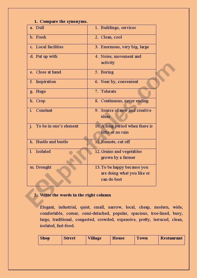 City-Village Vocabulary  worksheet