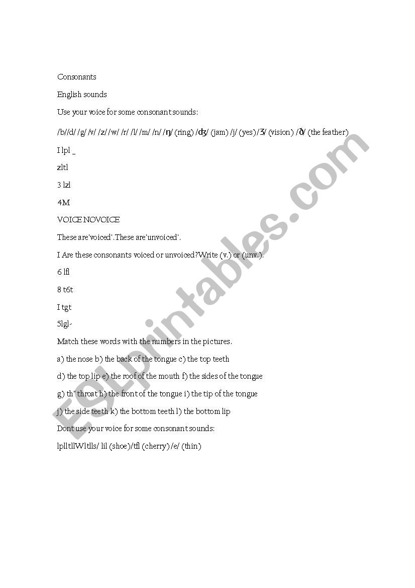 consonants worksheet