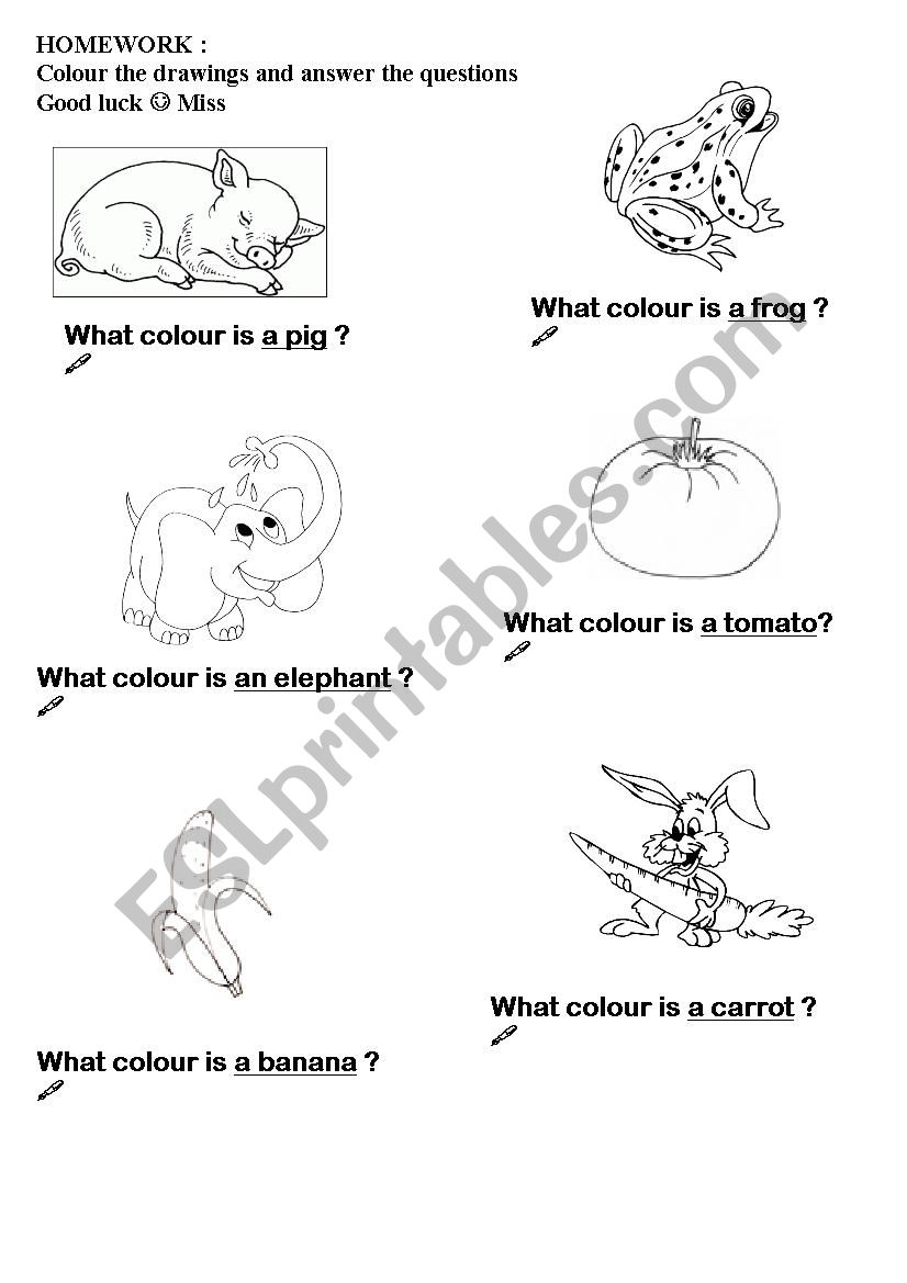 I know the colours worksheet
