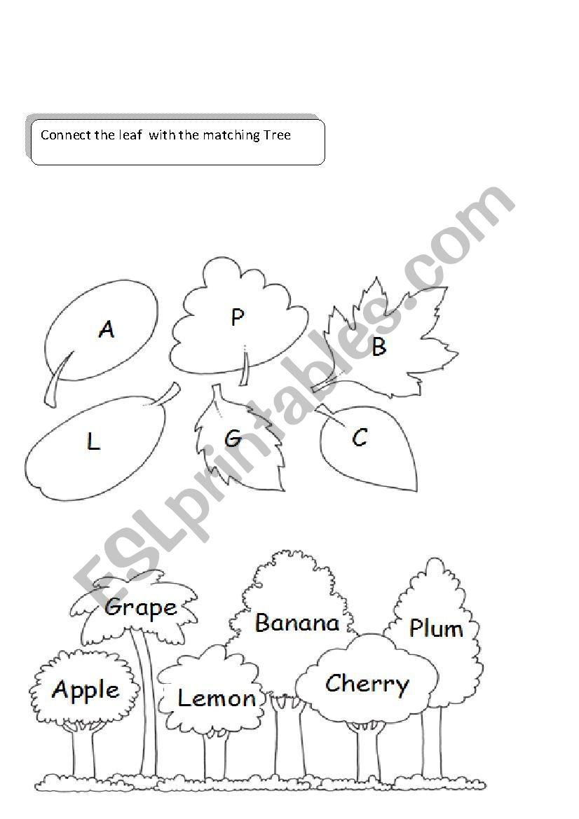 alphabet  worksheet