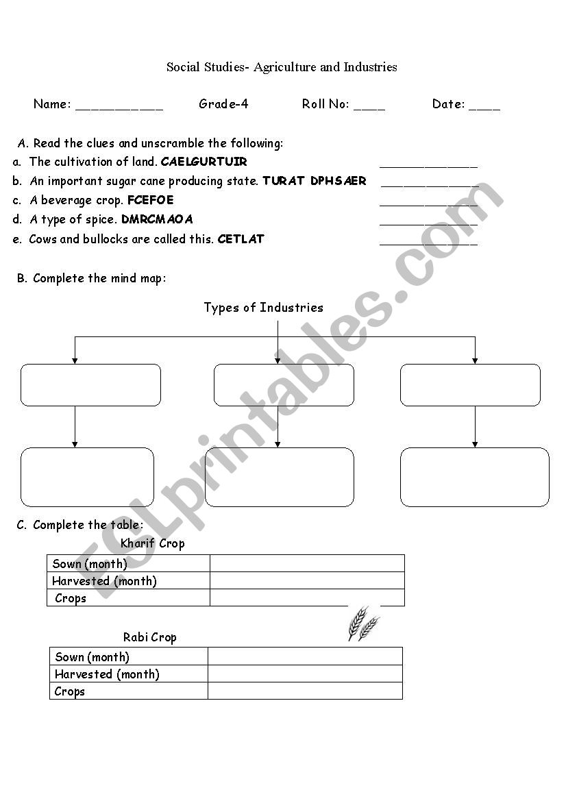 Social studies worksheet