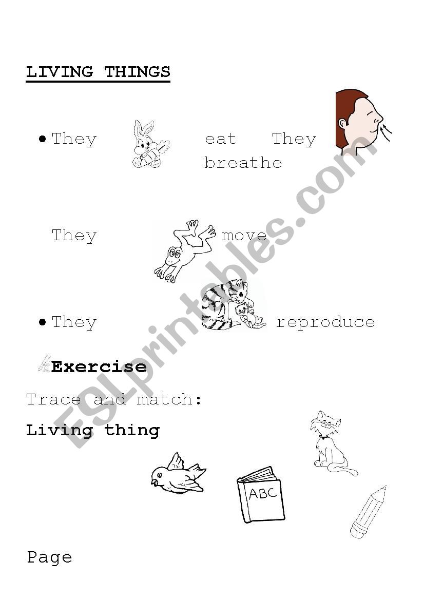 LIVING THINGS worksheet