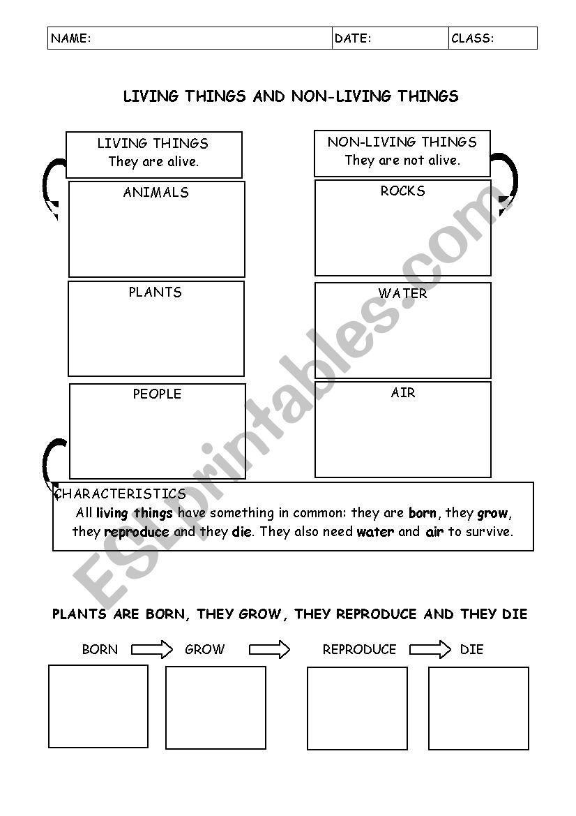 LIVING AND NON/LIVING THINGS worksheet