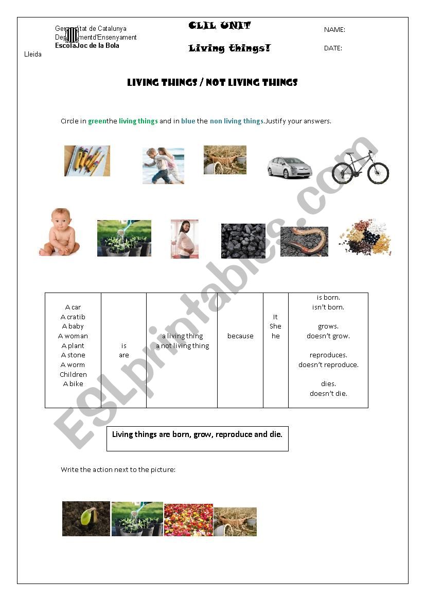 living and non living things worksheet