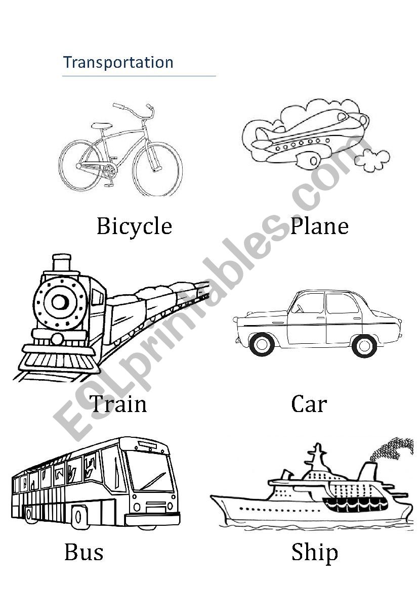 Transportation worksheet