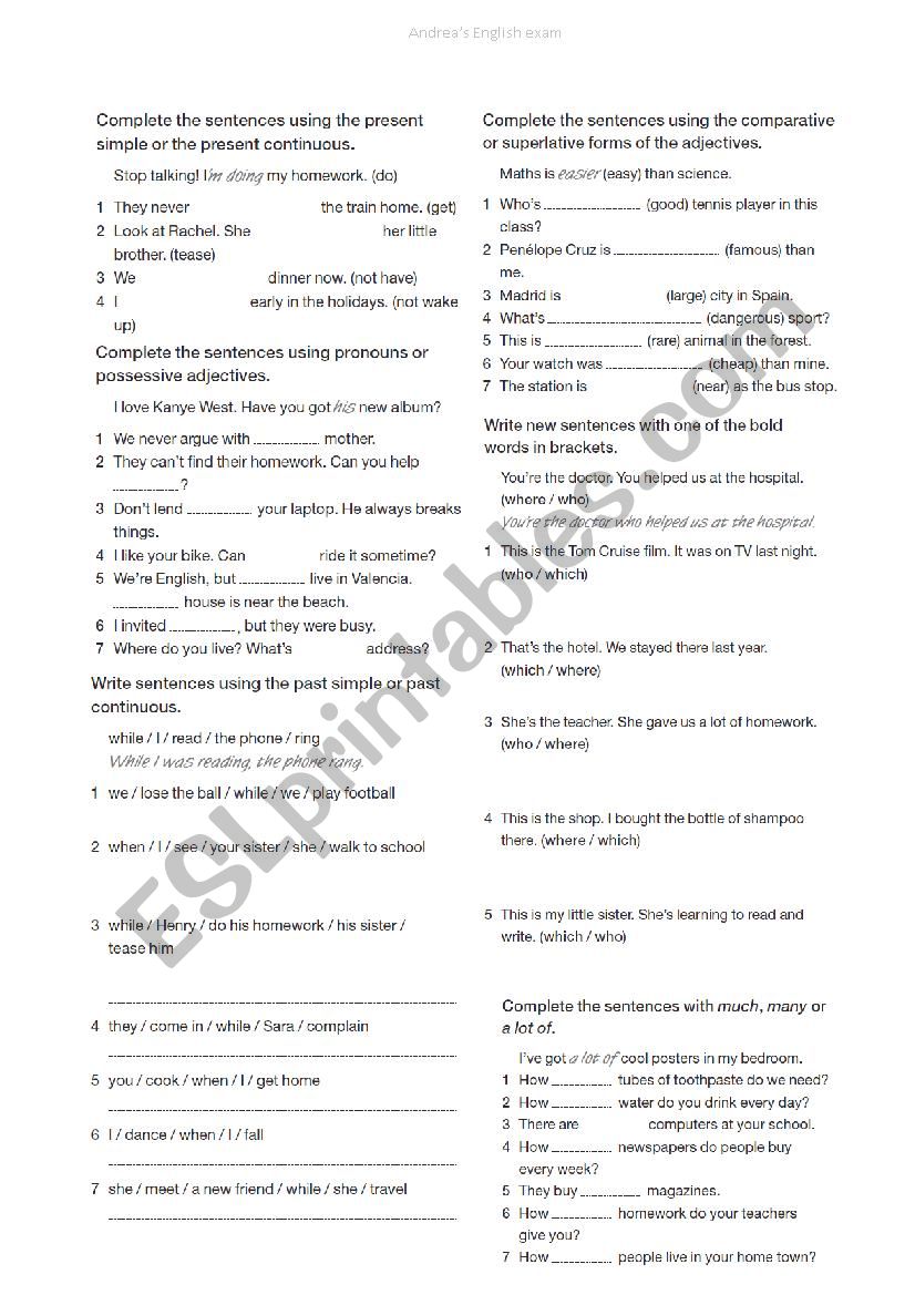 english revision exam  worksheet