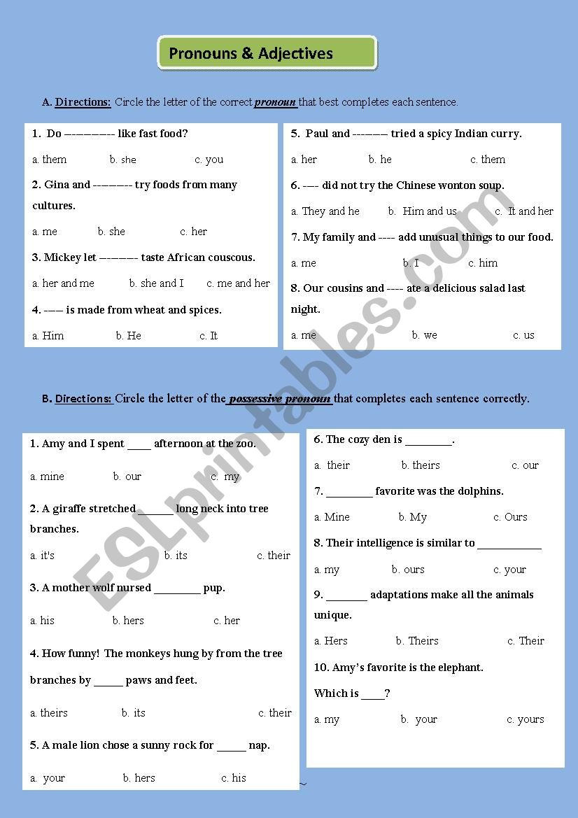 Grammar exercises: Adjective & Pronouns