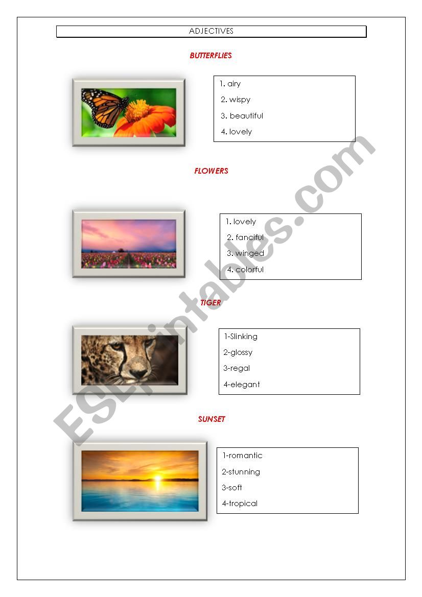 ADJECTIVES worksheet