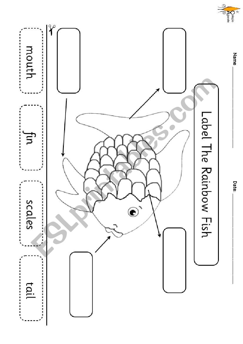 Fish parts worksheet