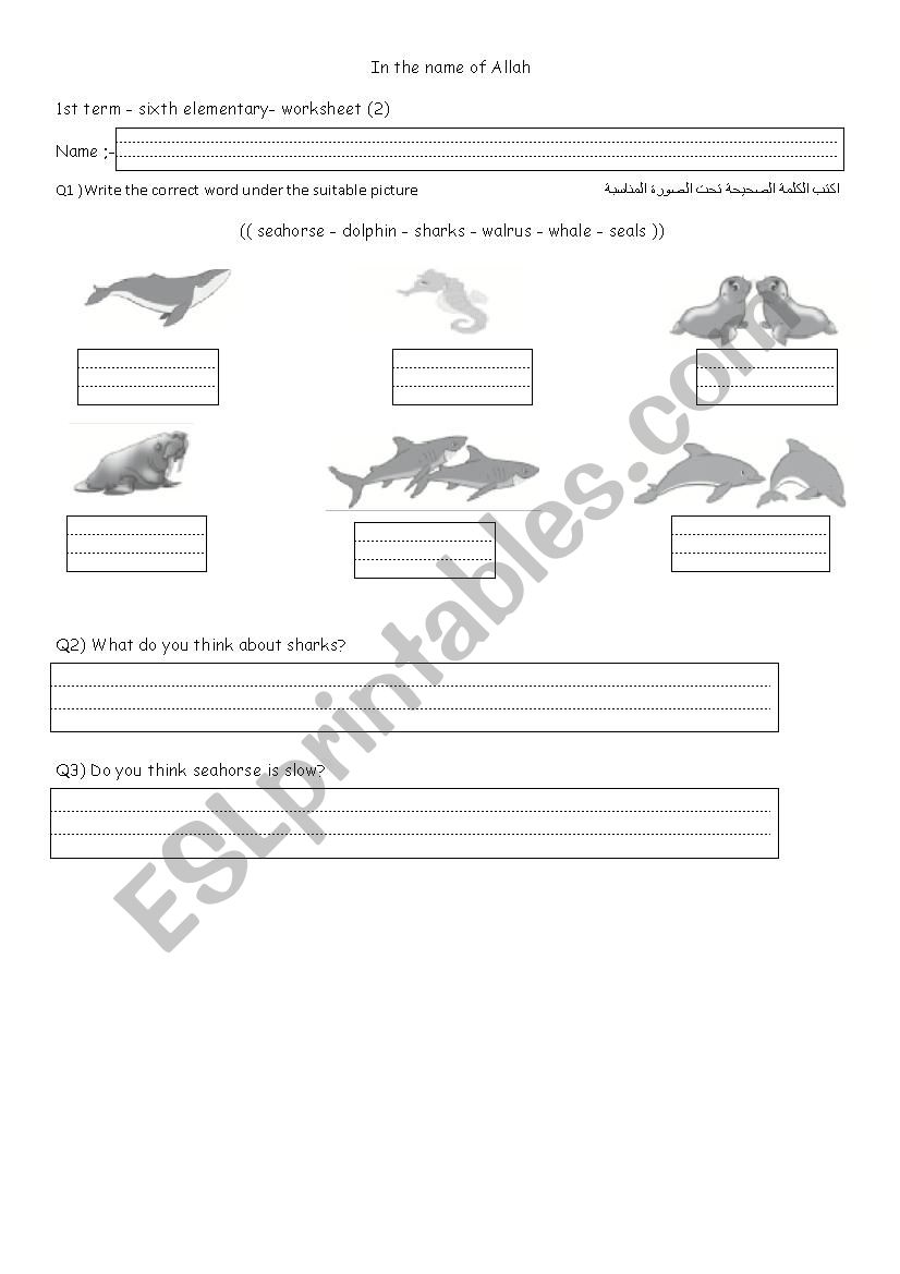 animals worksheet