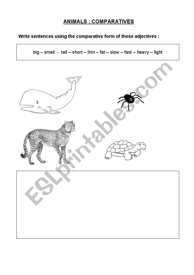 Animals comparatives worksheet