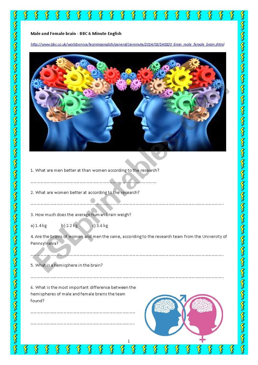 Male And Female Brains Bbc 6 Minute English Esl Worksheet By Dorland