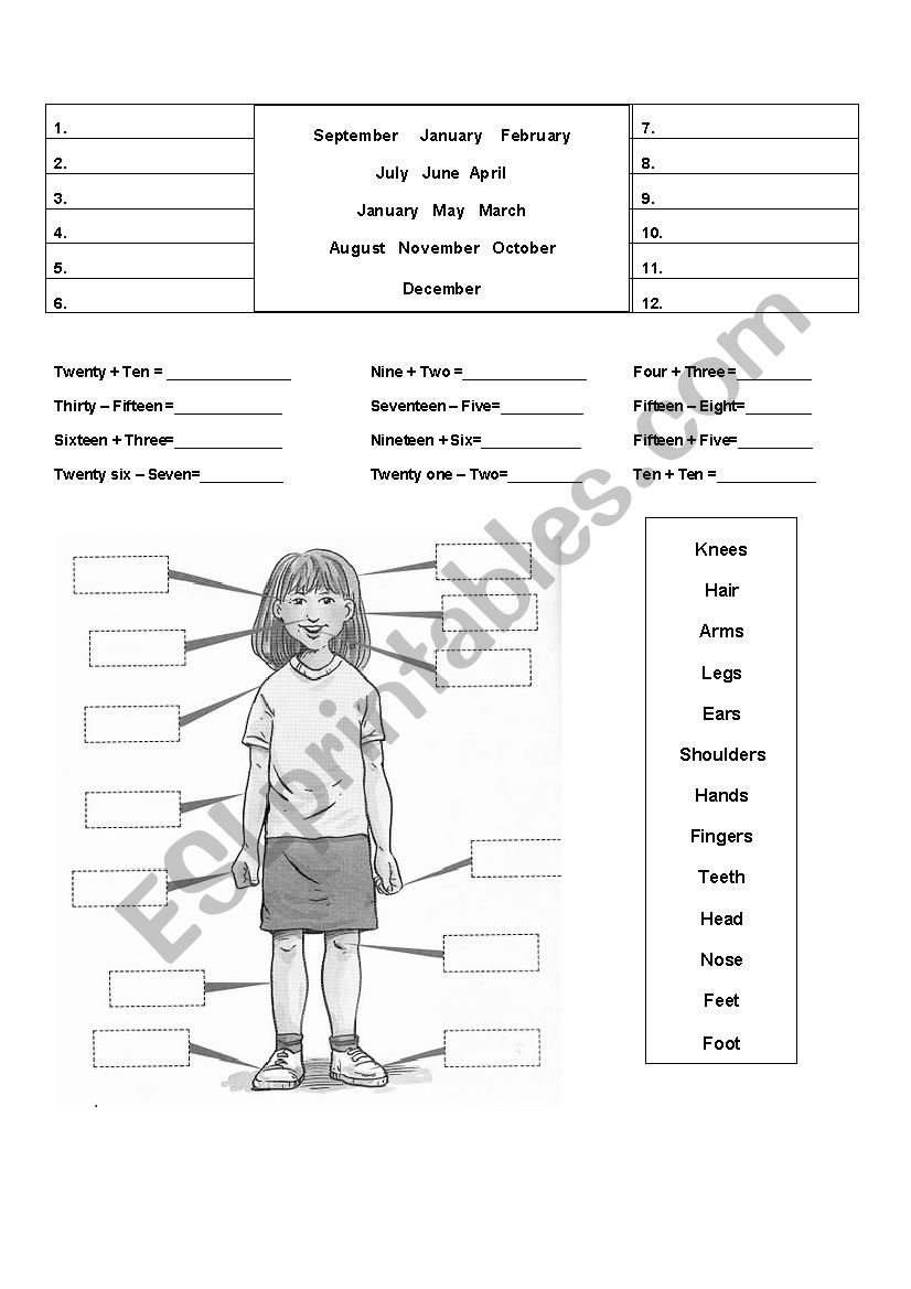 body parts worksheet