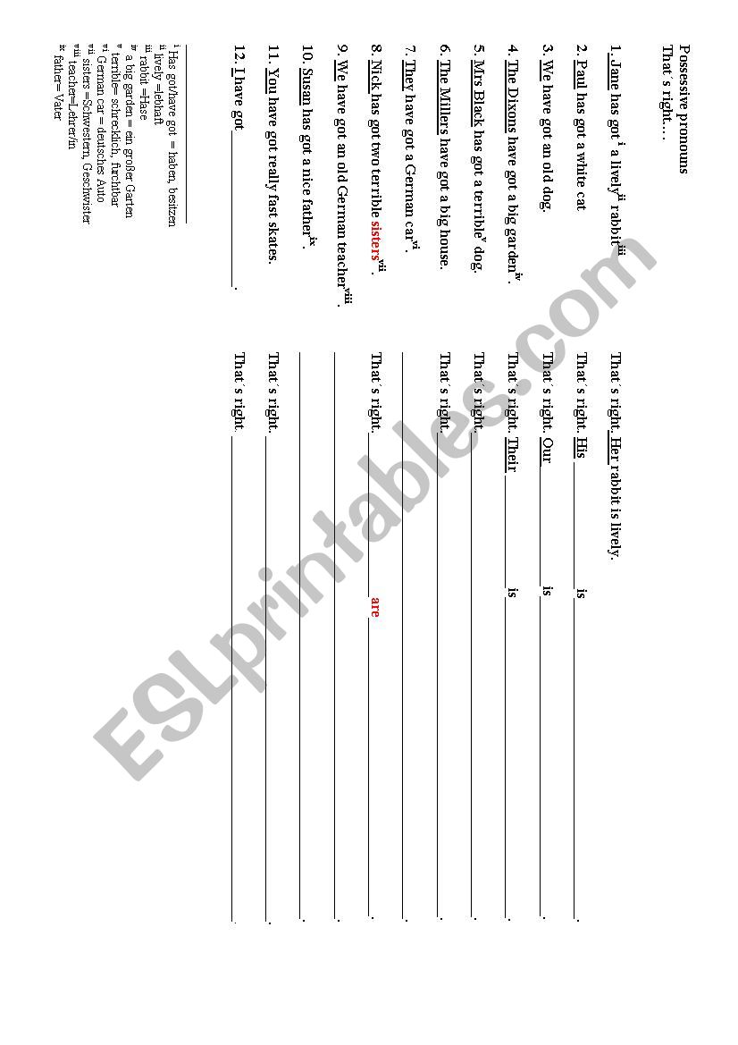 ossessive pronouns  worksheet