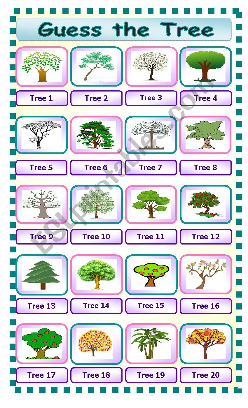 Guess the Tree worksheet