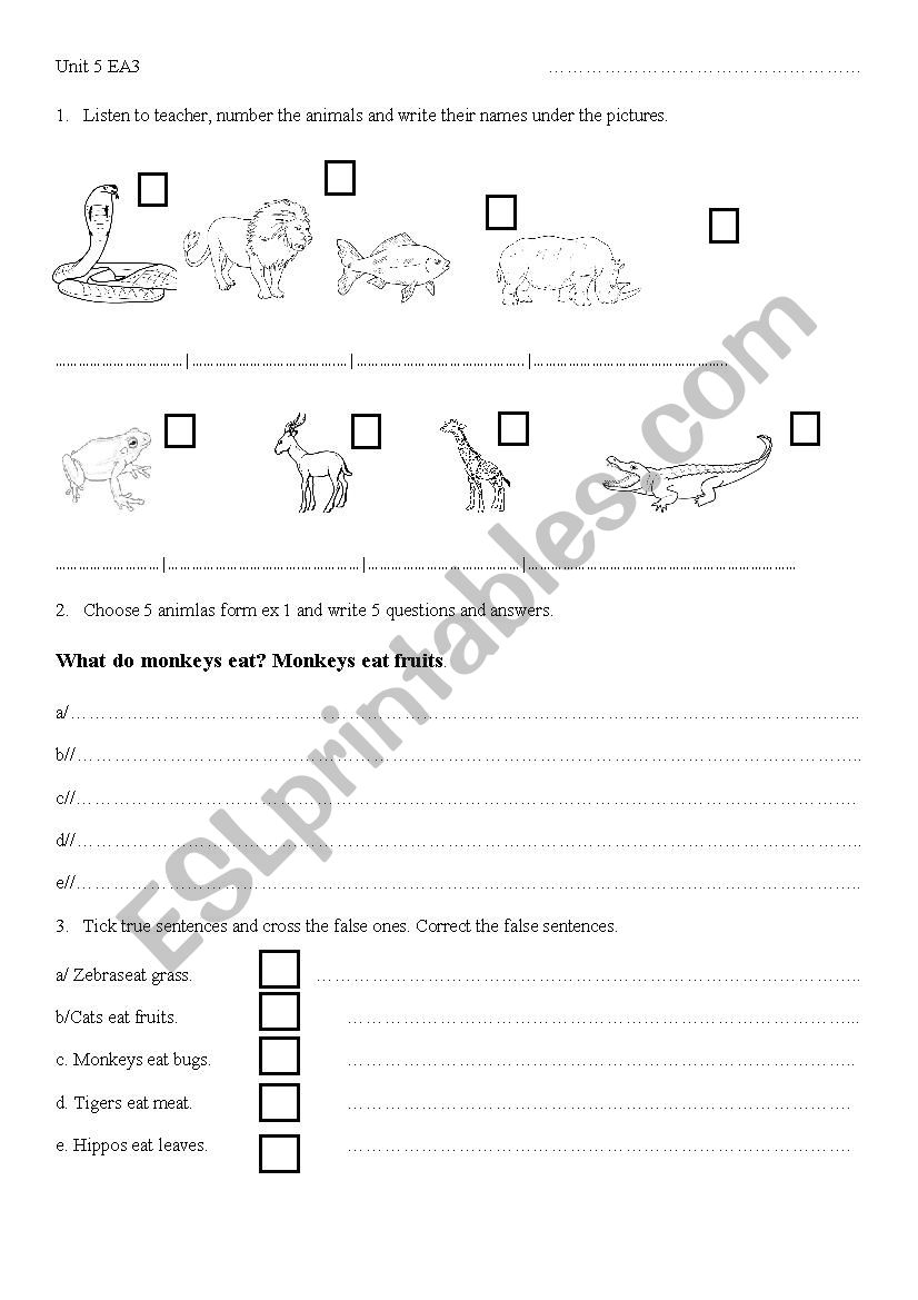 Animal Worksheet worksheet