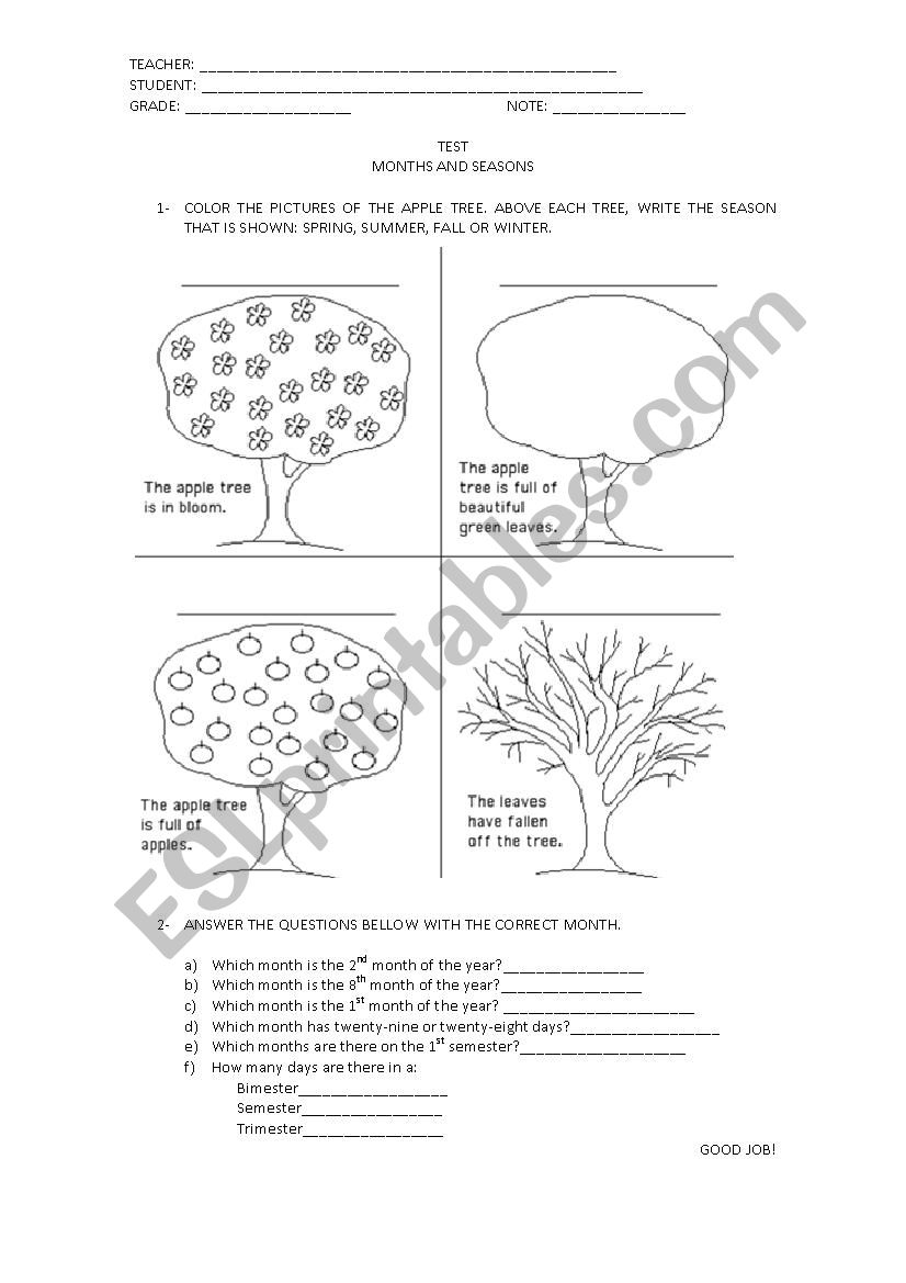 seasons worksheet