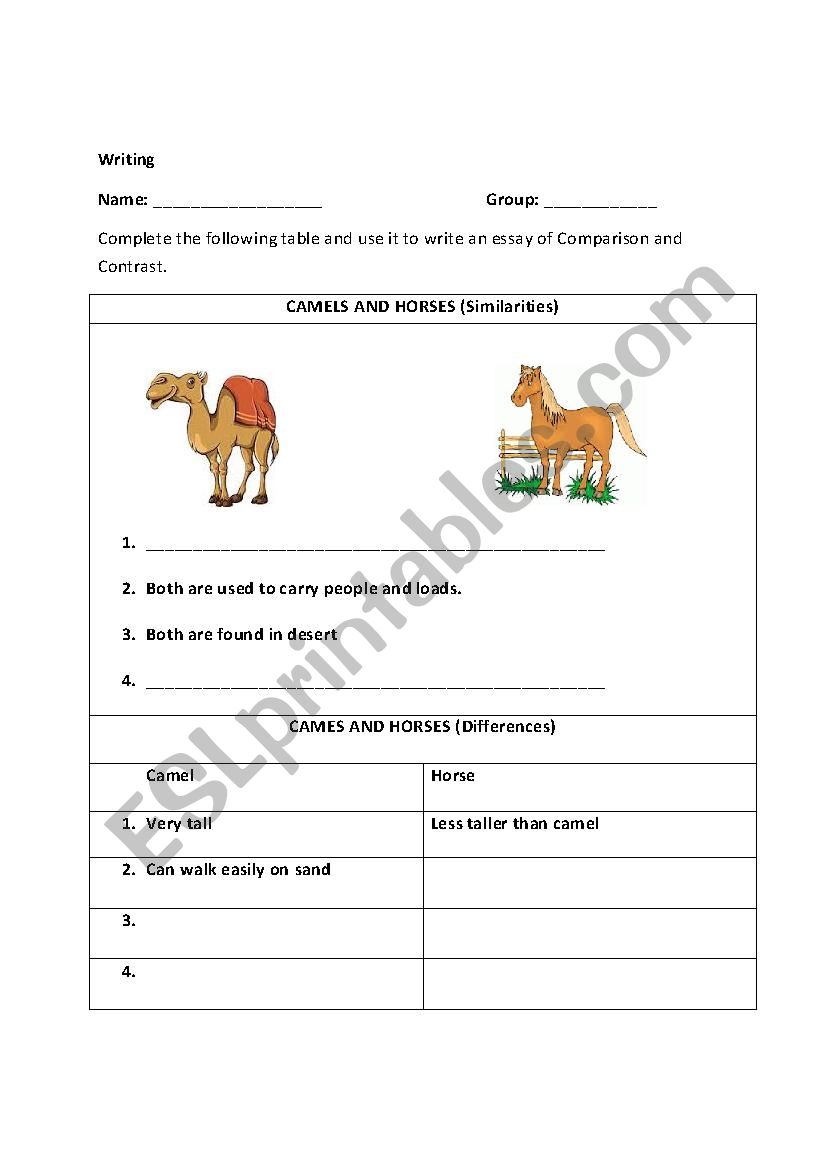 Essay of Comparison and Contrast