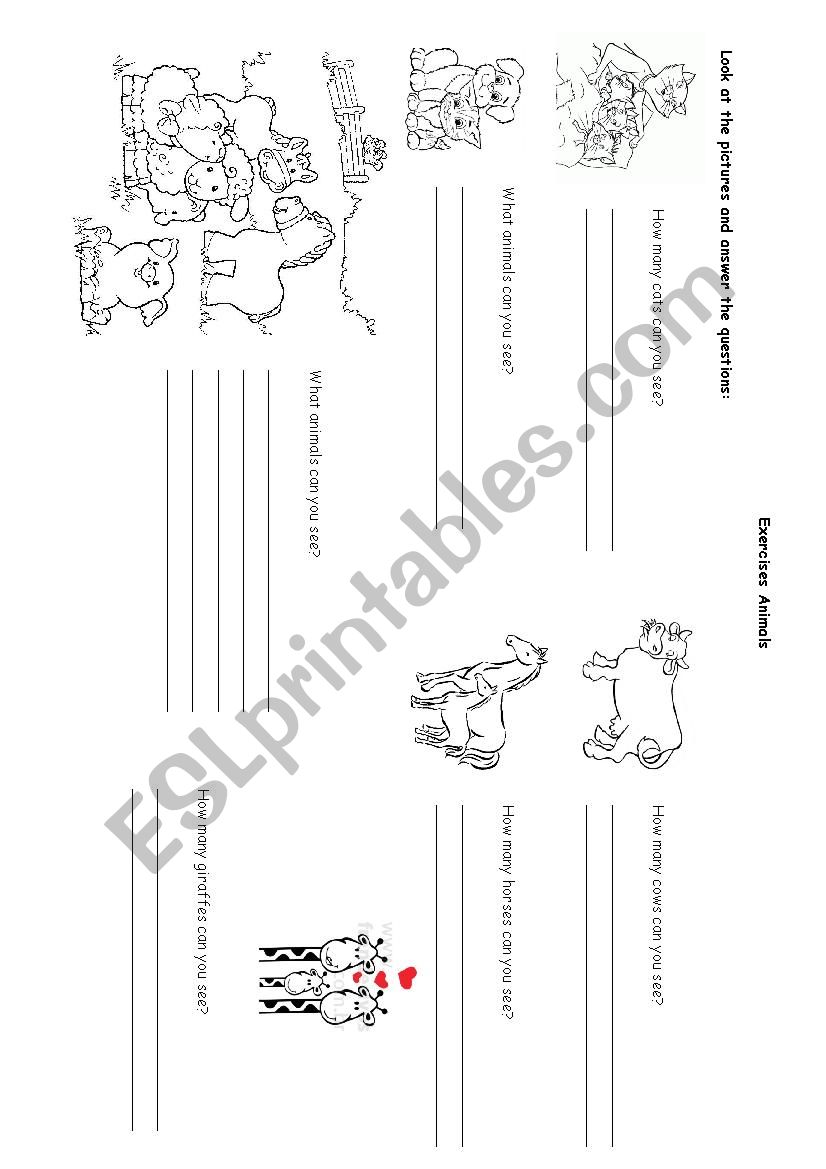 Exercises about animals worksheet