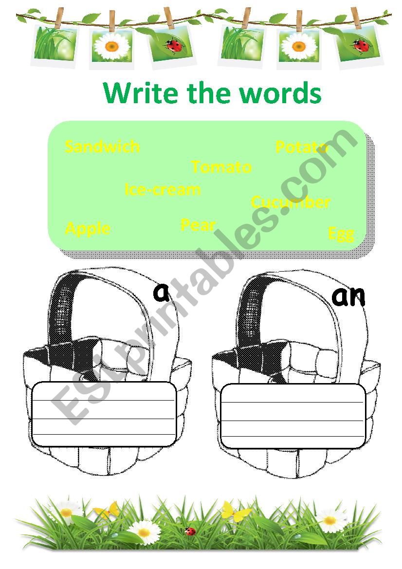 Articles a/an + Food worksheet