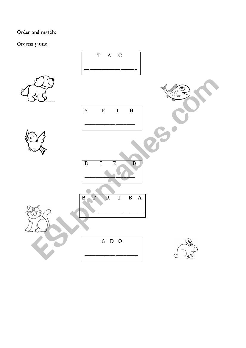 DOMESTIC ANIMALS worksheet