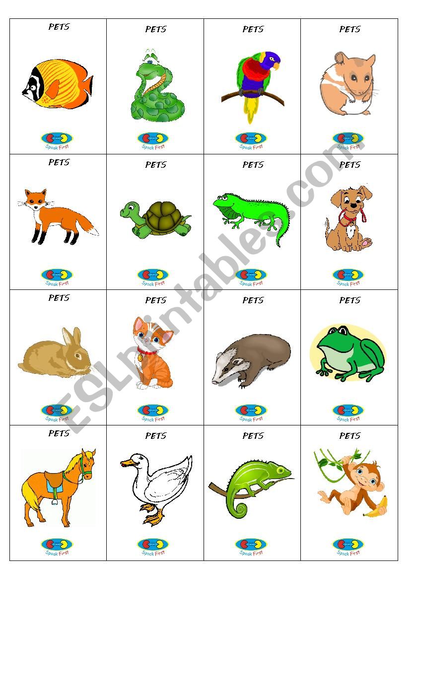 pets worksheet