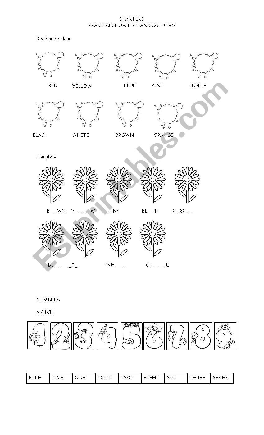 Colours and numbers worksheet