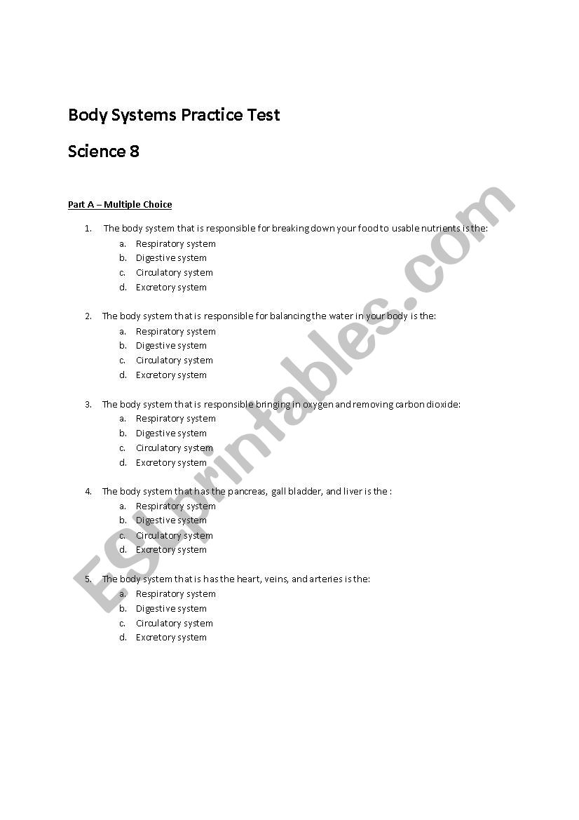 body systems practice test worksheet