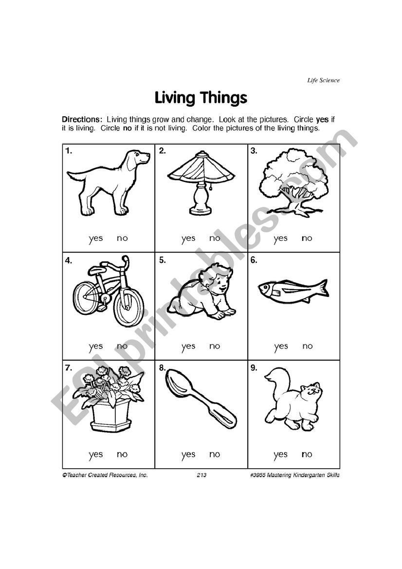 Living Things worksheet