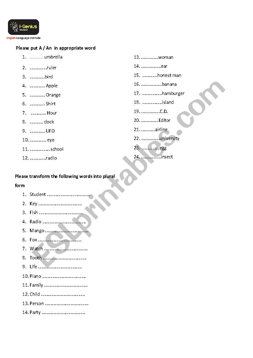 Article A An worksheet