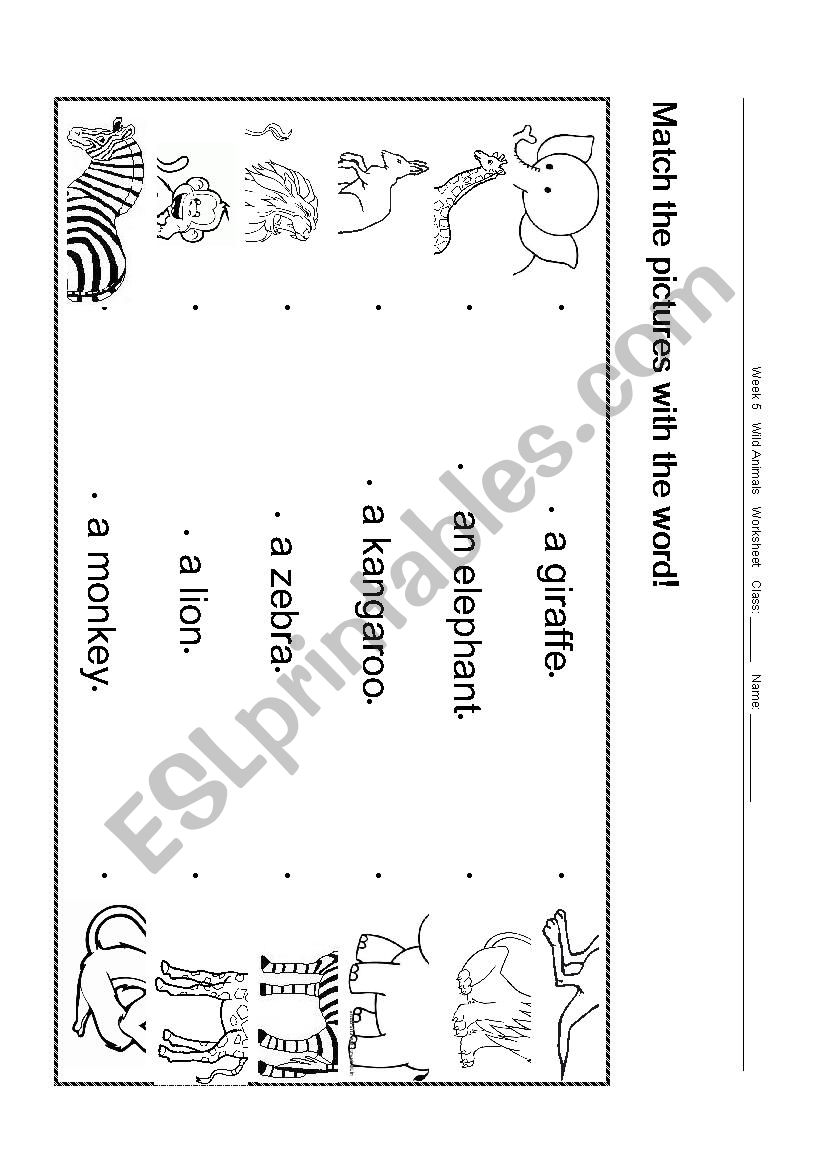 Match the pictures with words - ESL worksheet by ArielYoung