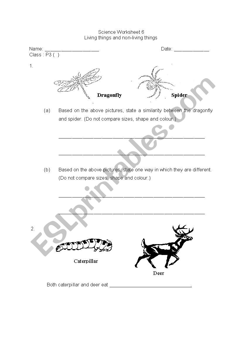 diversity of materials  worksheet