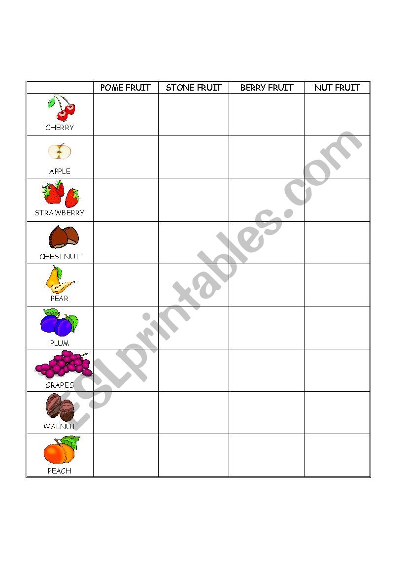 Fruit worksheet