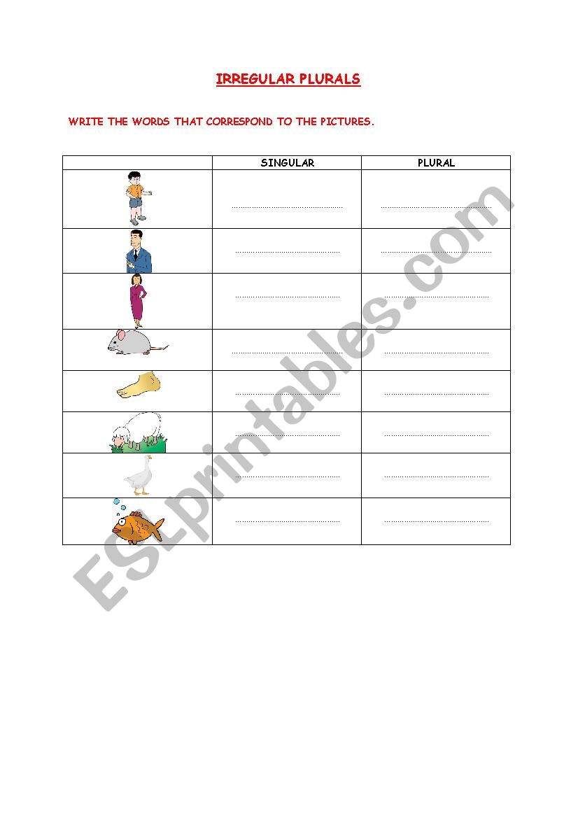 IRREGULAR PLURALS WORKSHEET worksheet