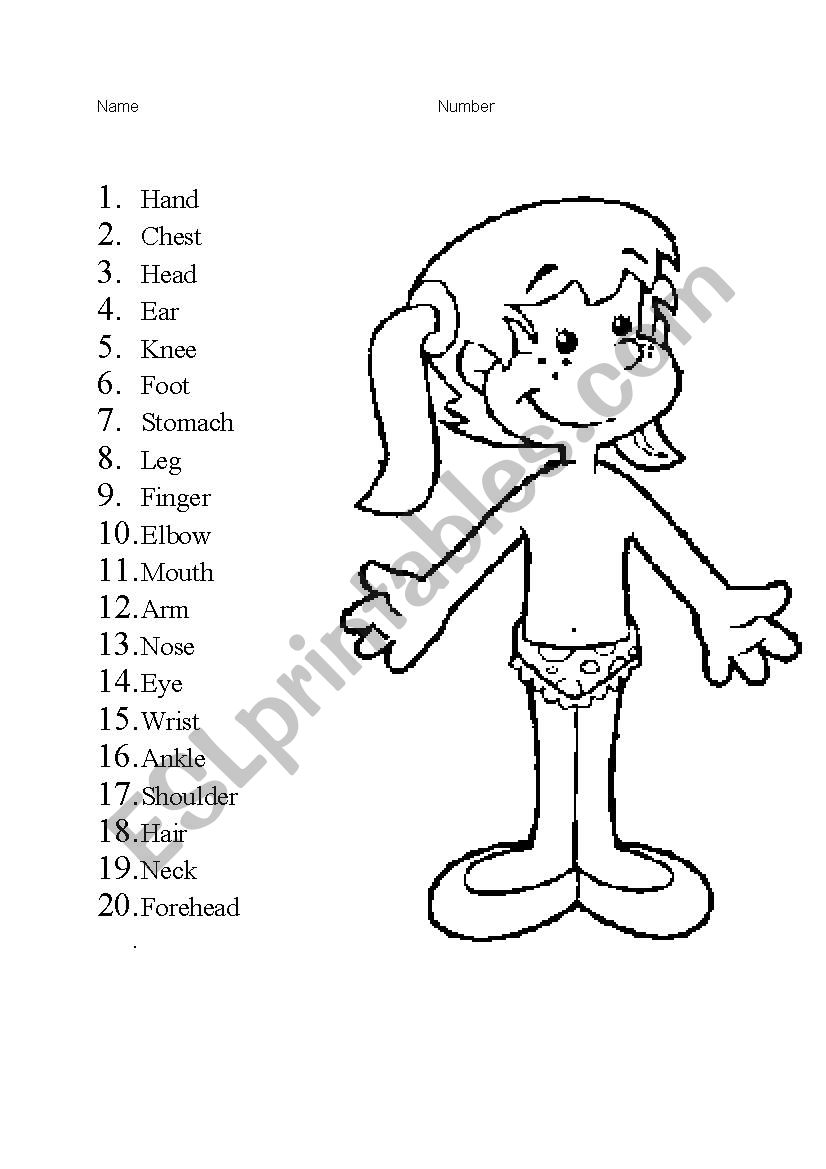 Body parts worksheet