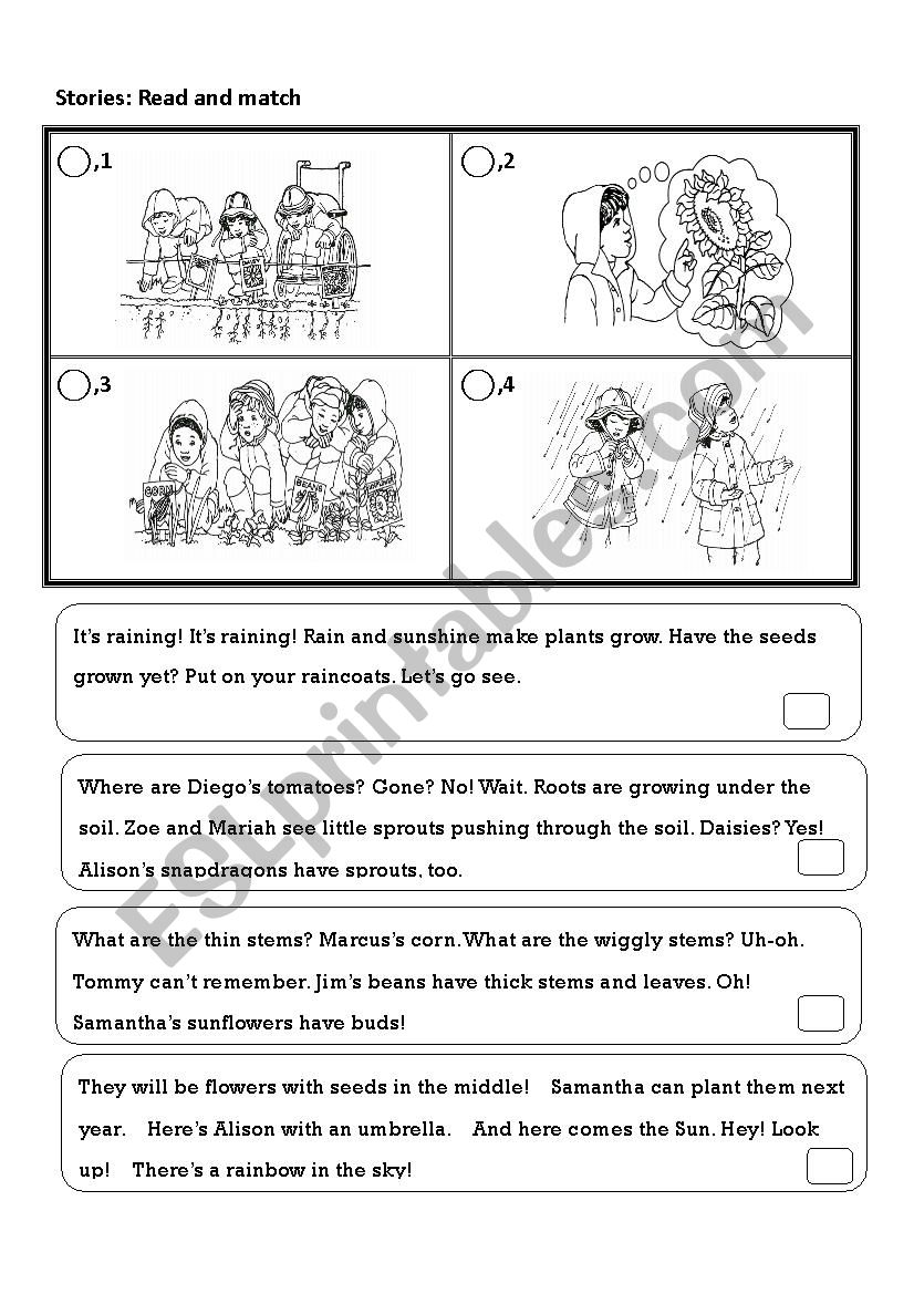 story worksheet