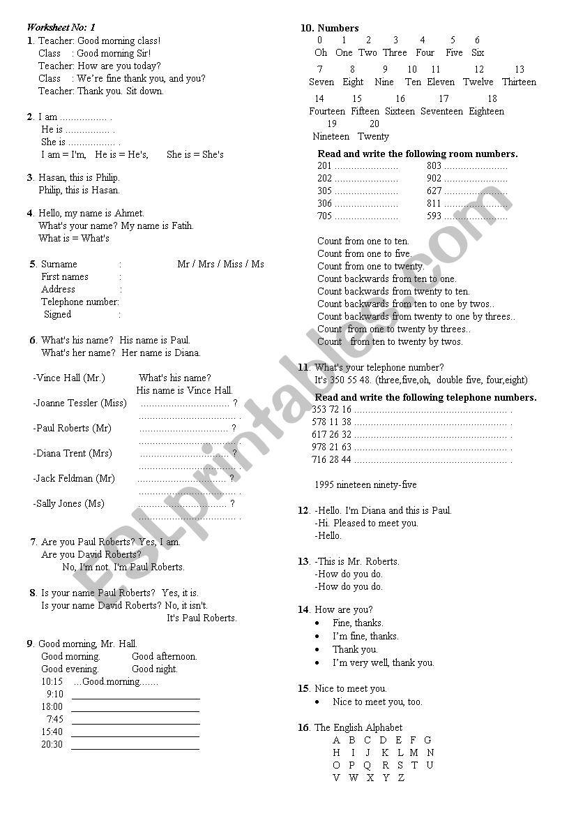 beginner worksheet 1 - ESL worksheet by jeyhoon